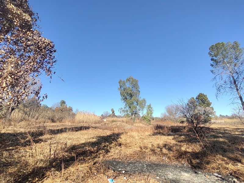 Large Stand with Business Rights for sale in Parys - Photo 3