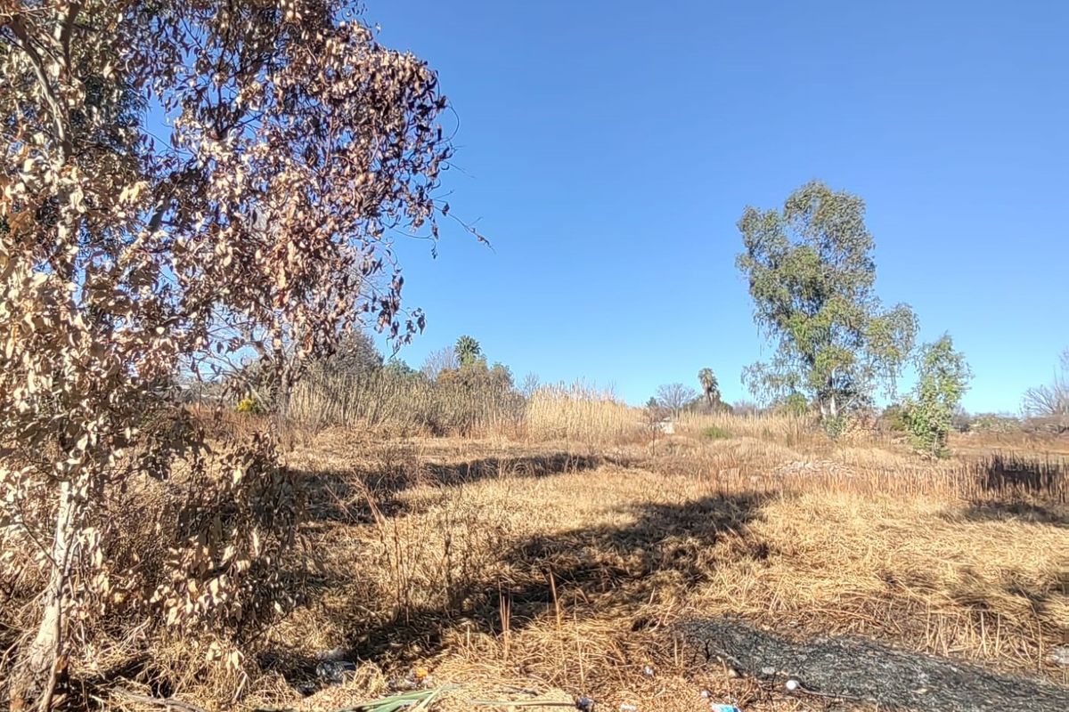 Large Stand with Business Rights for sale in Parys - Photo 5