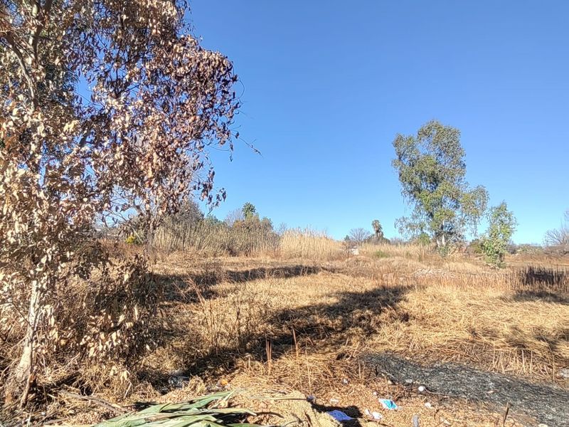 Large Stand with Business Rights for sale in Parys - Photo 5