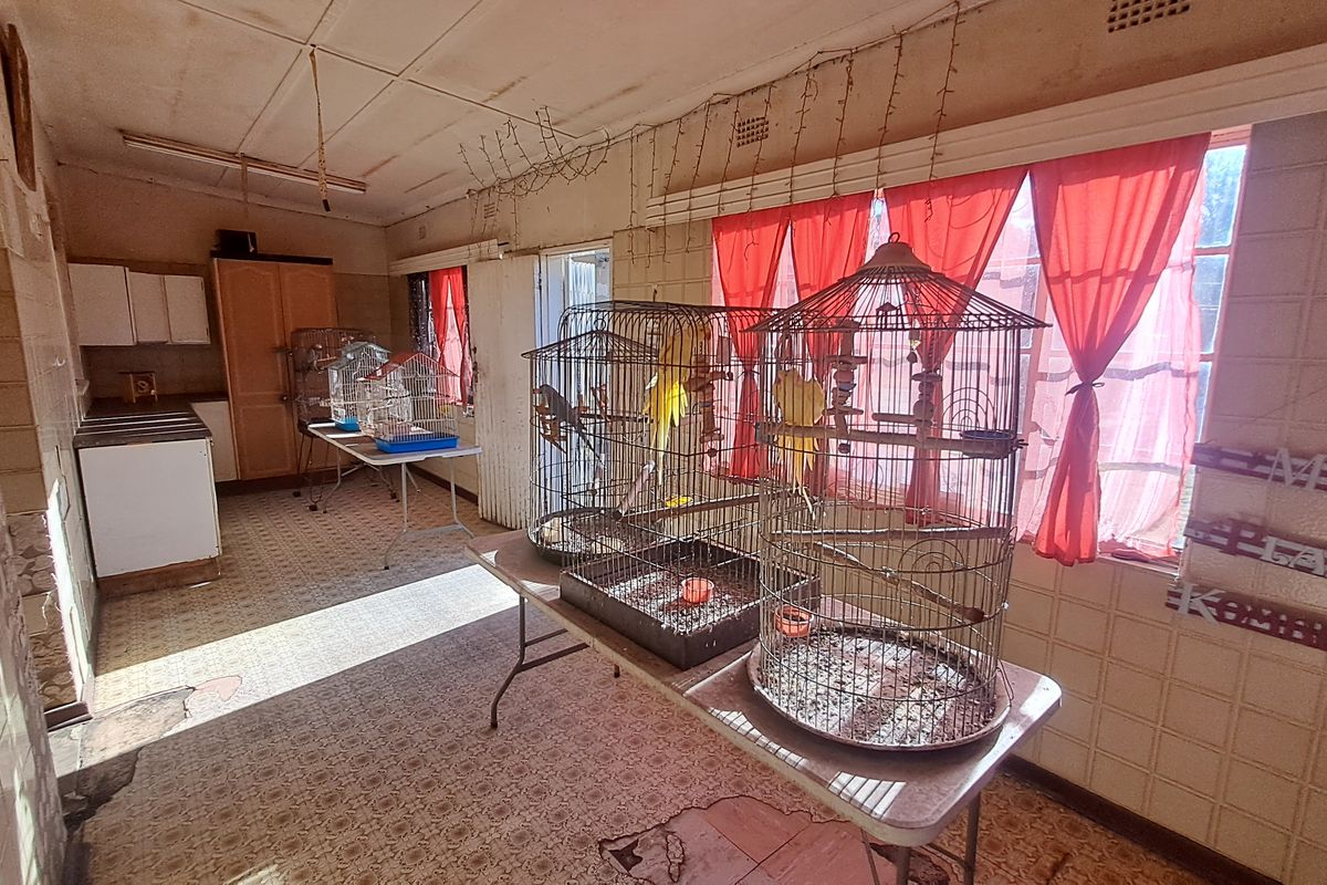 Spacious 5-Bedroom, 4-Bathroom Family Home for Sale in Grootvlei – Comfort and Space Combined! - Photo 3