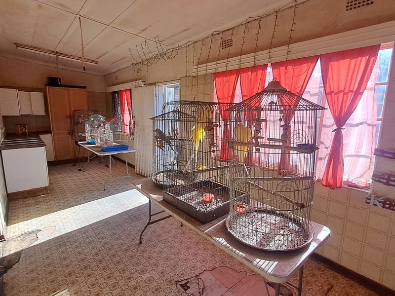 Spacious 5-Bedroom, 4-Bathroom Family Home for Sale in Grootvlei – Comfort and Space Combined! - Photo 3