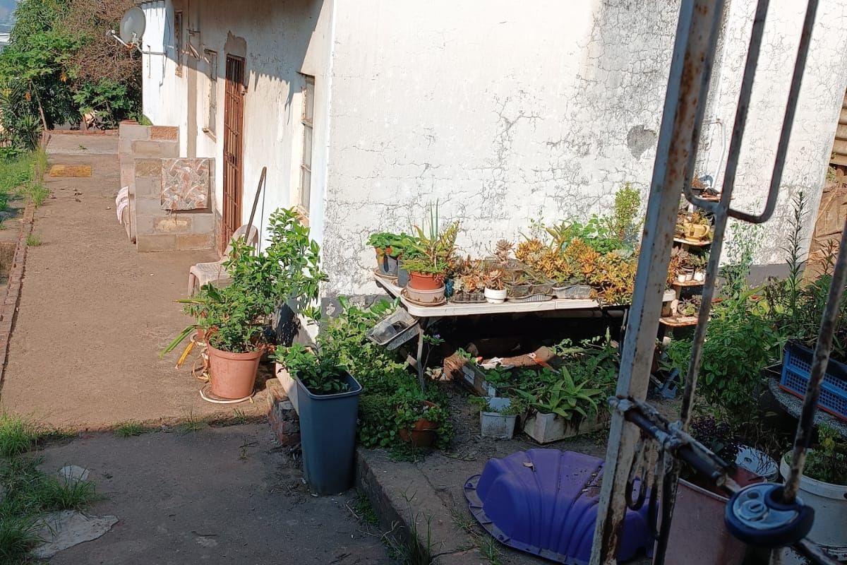 Exceptional Development Opportunity with Scenic Views - Photo 4