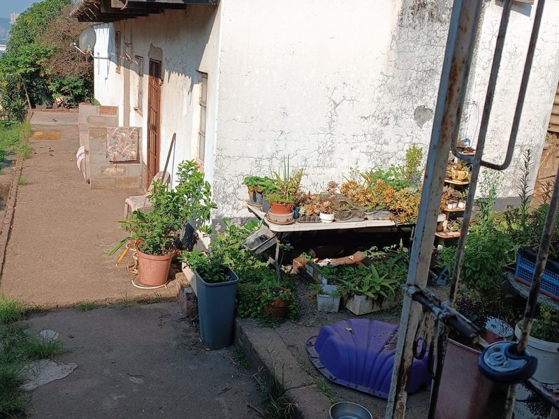 Exceptional Development Opportunity with Scenic Views - Photo 4