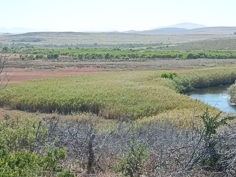 Versatile  Life Style Farm opposite Arabella Golf  Estate, South Africa - Photo 4