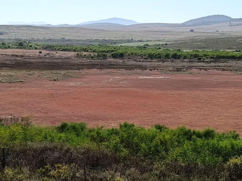 Versatile  Life Style Farm opposite Arabella Golf  Estate, South Africa - Photo 6