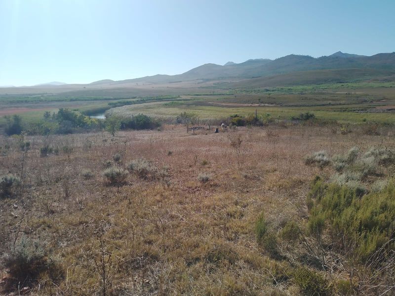 Versatile  Life Style Farm opposite Arabella Golf  Estate, South Africa - Photo 10