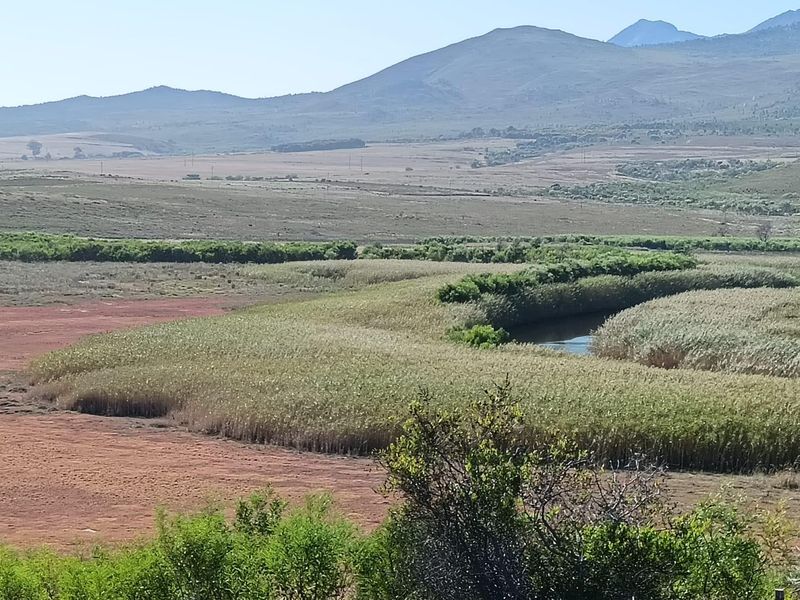 Versatile  Life Style Farm opposite Arabella Golf  Estate, South Africa - Photo 8