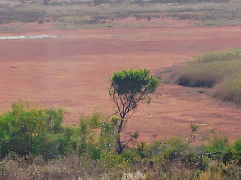 Versatile  Life Style Farm opposite Arabella Golf  Estate, South Africa - Photo 9