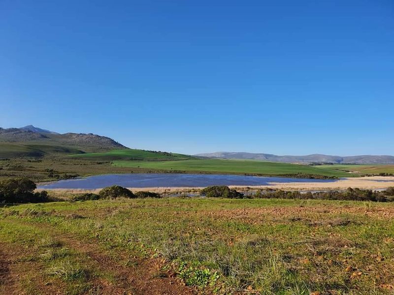 Versatile  Life Style Farm opposite Arabella Golf  Estate, South Africa - Photo 3