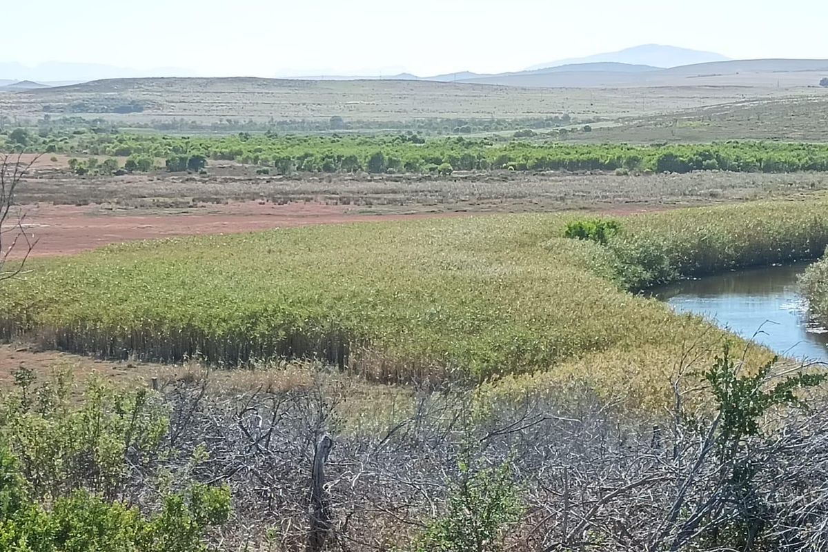 Versatile  Life Style Farm opposite Arabella Golf  Estate, South Africa - Photo 5