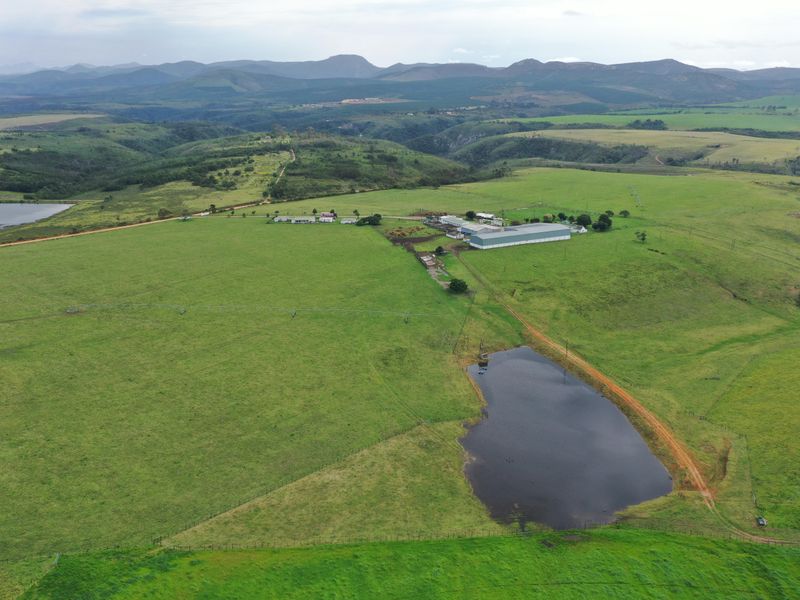 Spectacular Farms for Sale - Photo 2