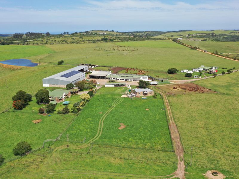 Spectacular Farms for Sale - Photo 8