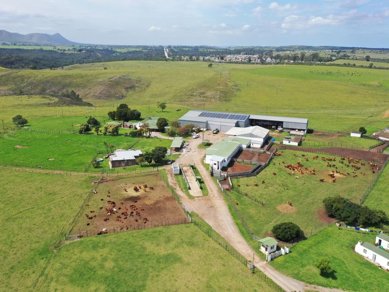 Spectacular Farms for Sale - Photo 7