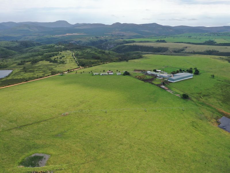 Spectacular Farms for Sale - Photo 6