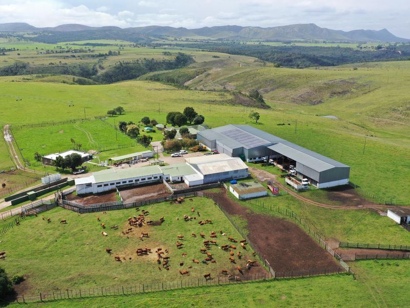 Spectacular Farms for Sale - Photo 4