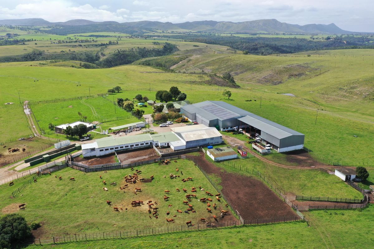 Spectacular Farms for Sale - Photo 4