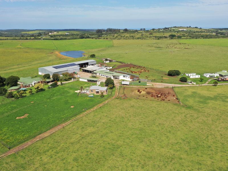 Spectacular Farms for Sale - Photo 5