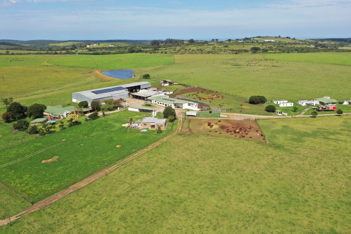 Spectacular Farms for Sale - Photo 5