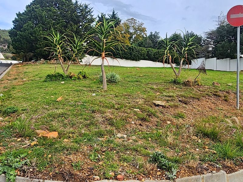 Prime Elevated Corner Stand - Photo 7