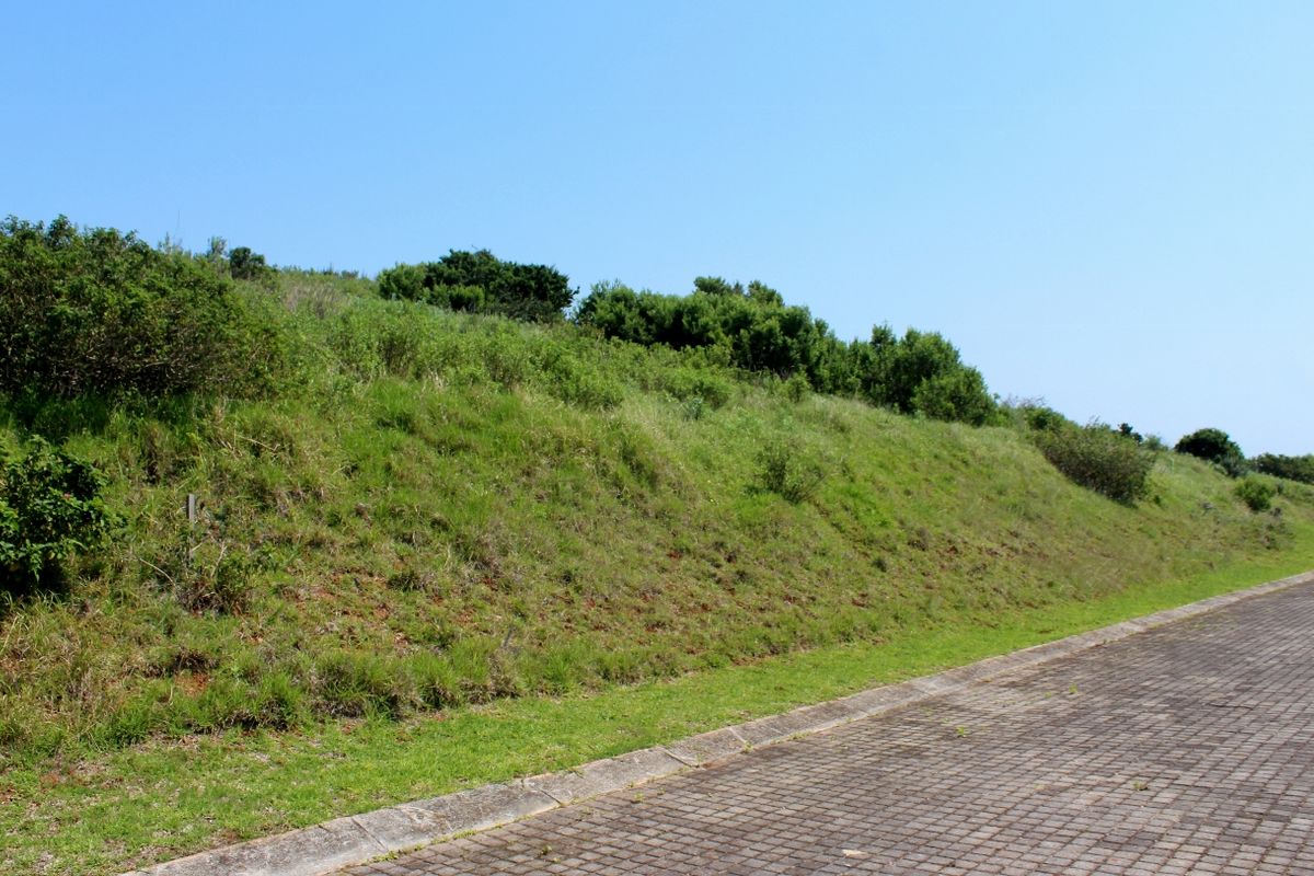 A view of the vacant residential land featuring a sloped grassy embankment adjacent to a paved driveway and concrete curbing.