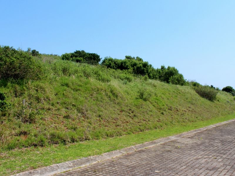 A view of the vacant residential land featuring a sloped grassy embankment adjacent to a paved driveway and concrete curbing.