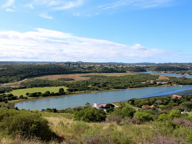 An elevated panoramic view overlooking a river, surrounding wetlands, and distant residential landscape.