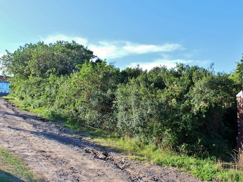 Sea View Plot for Sale in Forest Downs – Coastal Living Awaits! - Photo 7