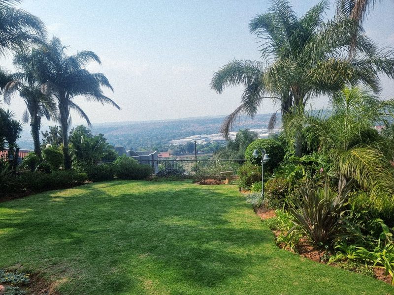 A well-maintained garden area featuring lush lawn and mature palm trees, offering an expansive elevated view of the surrounding landscape.