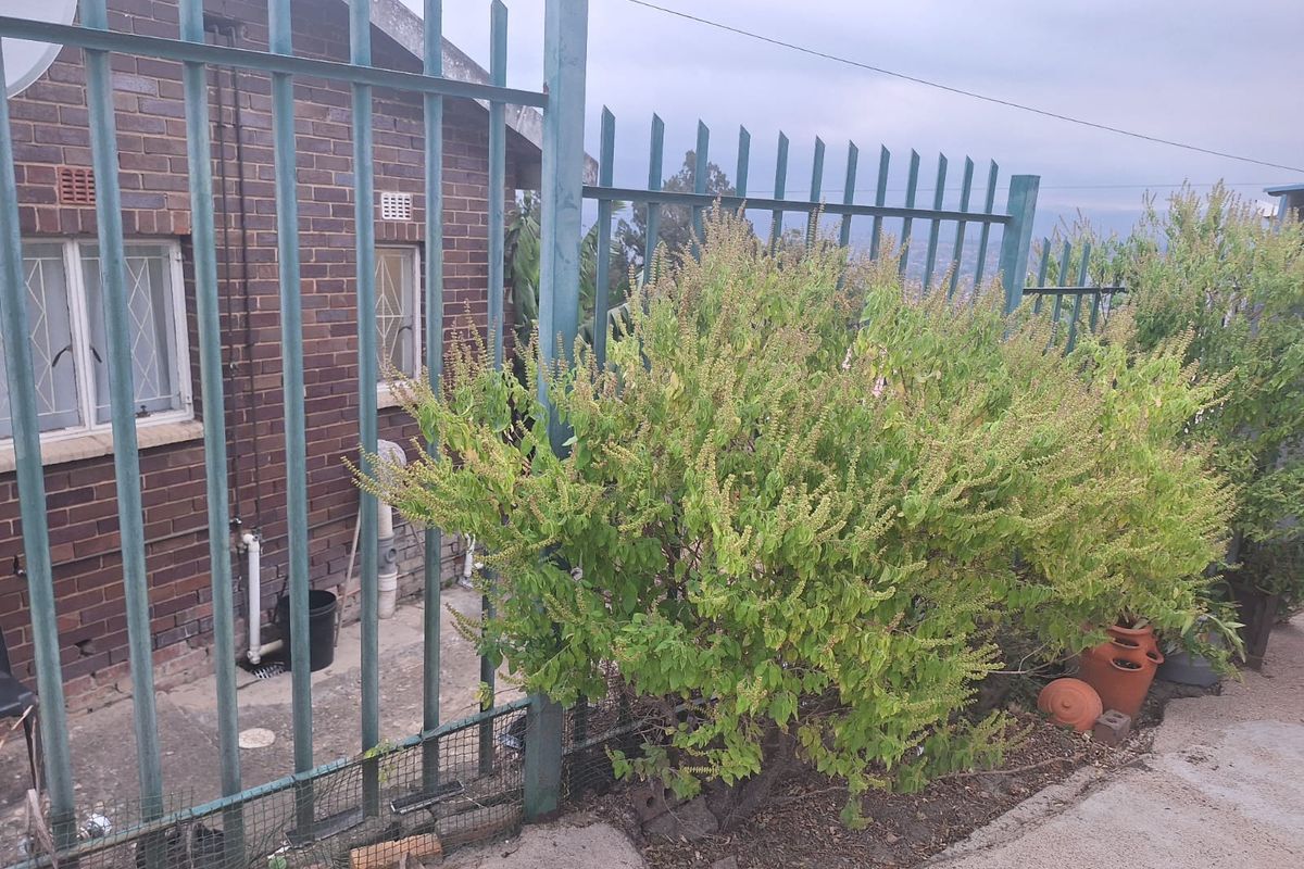 Rear exterior view of the property featuring brick wall construction, security fencing, and concrete paving.