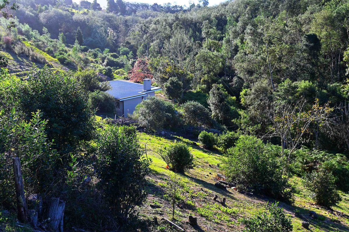 Secluded forest retreat with everything you need! - Photo 2