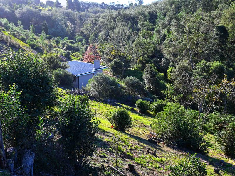 Secluded forest retreat with everything you need! - Photo 2