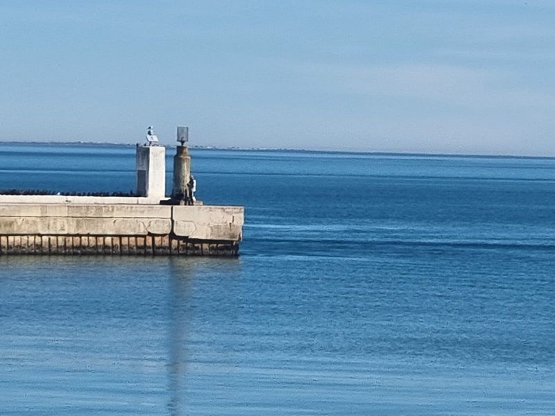 Prime 959 sqm plot in Port Owen - Photo 9