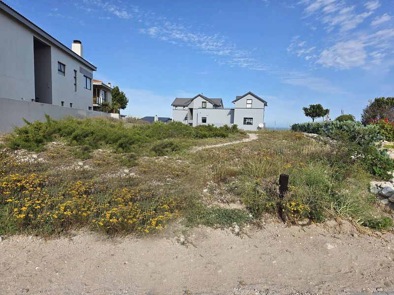 A view of an undeveloped residential plot featuring natural vegetation and surrounding established homes.