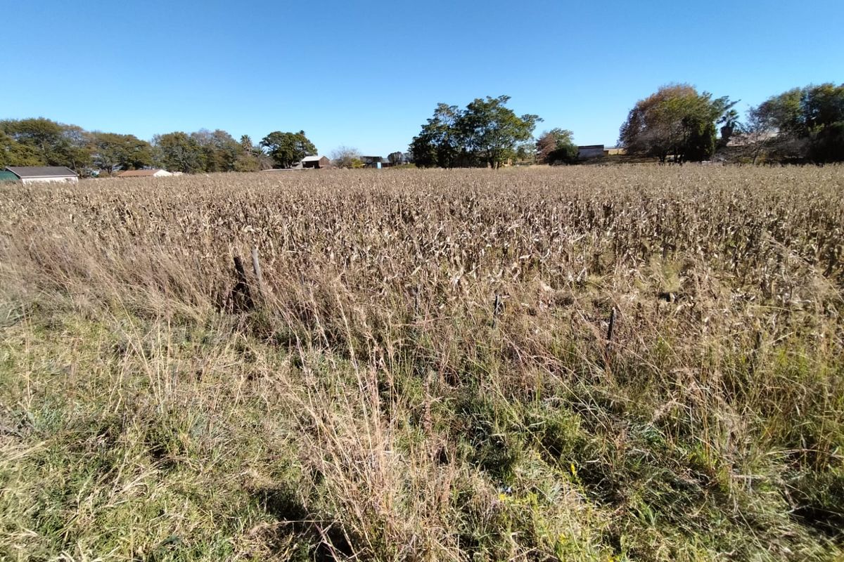 Vacant land in Amsterdam on the R33 - Photo 4