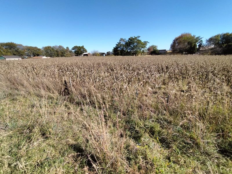 Vacant land in Amsterdam on the R33 - Photo 4