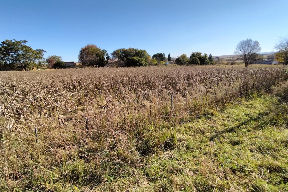 Vacant land in Amsterdam on the R33 - Photo 2