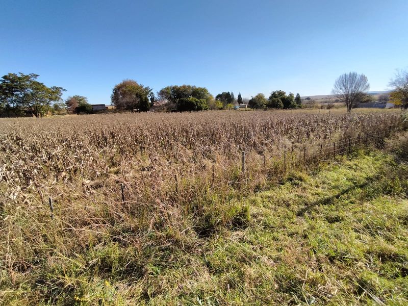 Vacant land in Amsterdam on the R33 - Photo 2