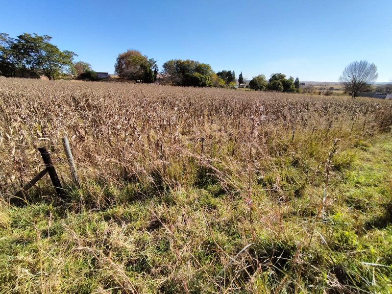 Vacant land in Amsterdam on the R33 - Photo 8