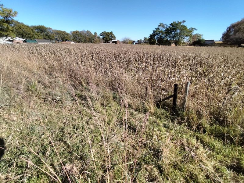 Vacant land in Amsterdam on the R33 - Photo 7