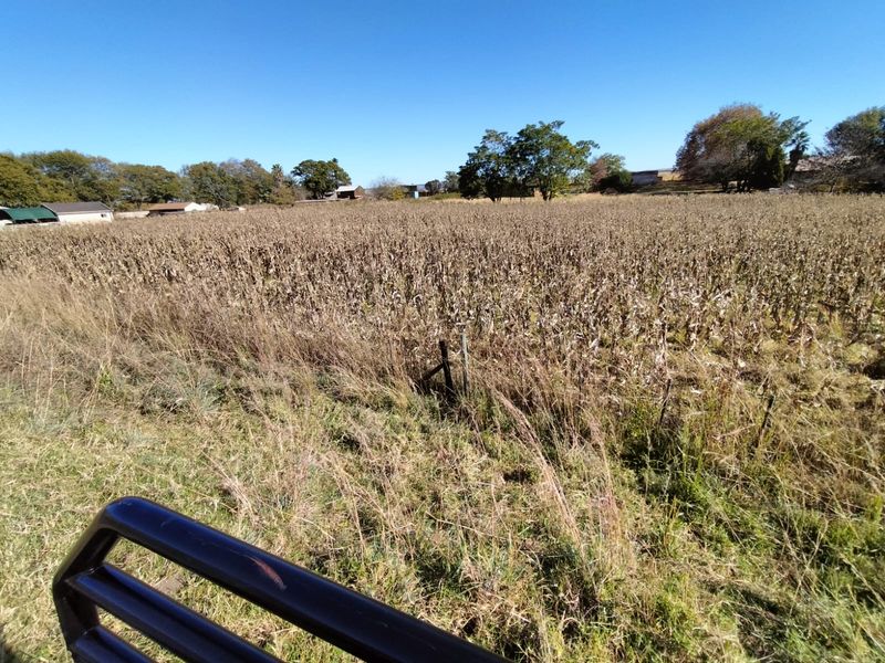 Vacant land in Amsterdam on the R33 - Photo 6