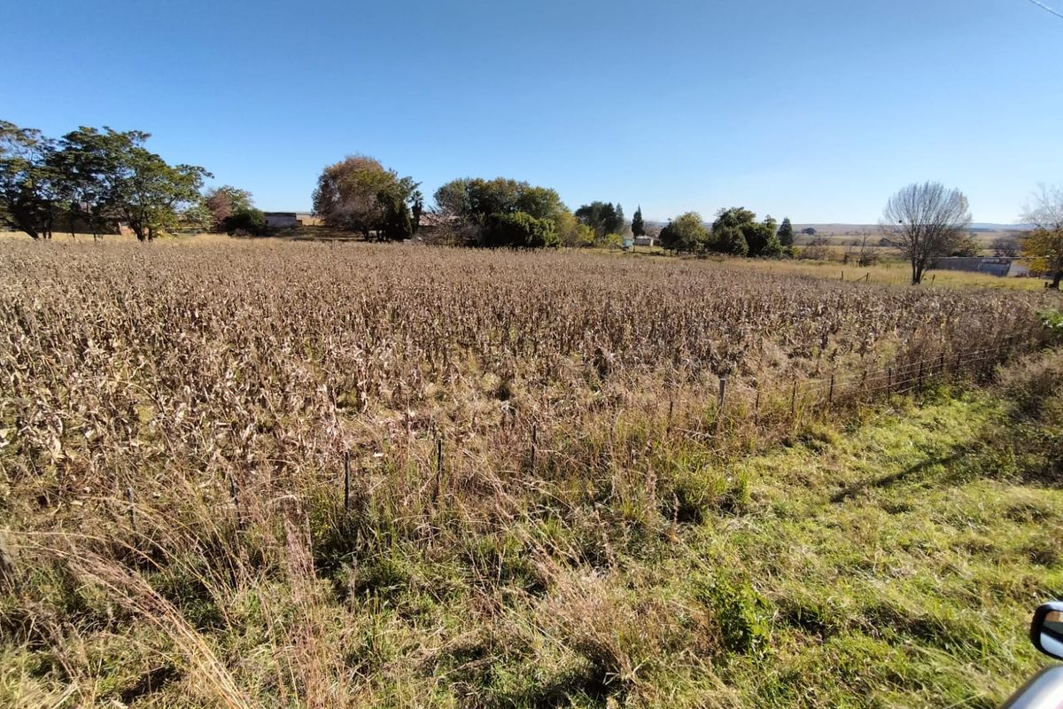 Vacant land in Amsterdam on the R33 - Photo 5