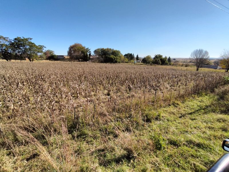 Vacant land in Amsterdam on the R33 - Photo 5