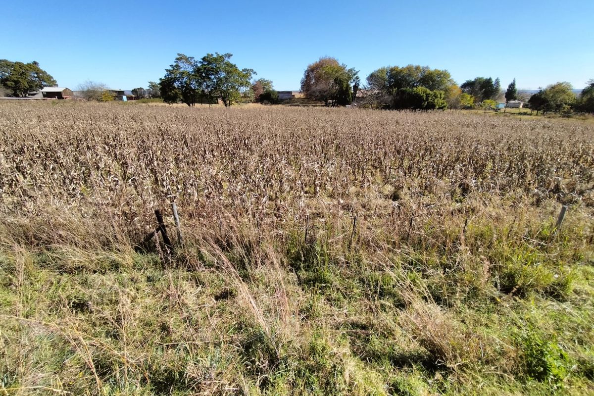 Vacant land in Amsterdam on the R33 - Photo 3