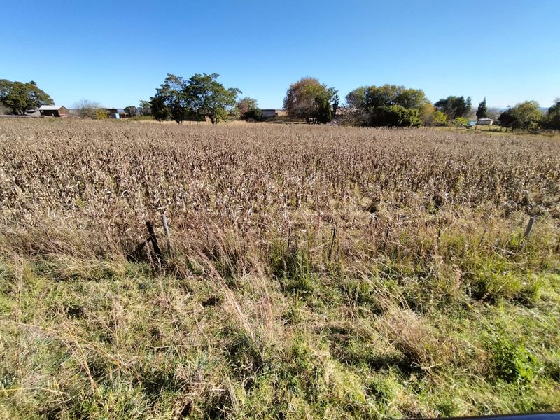 Vacant land in Amsterdam on the R33 - Photo 3