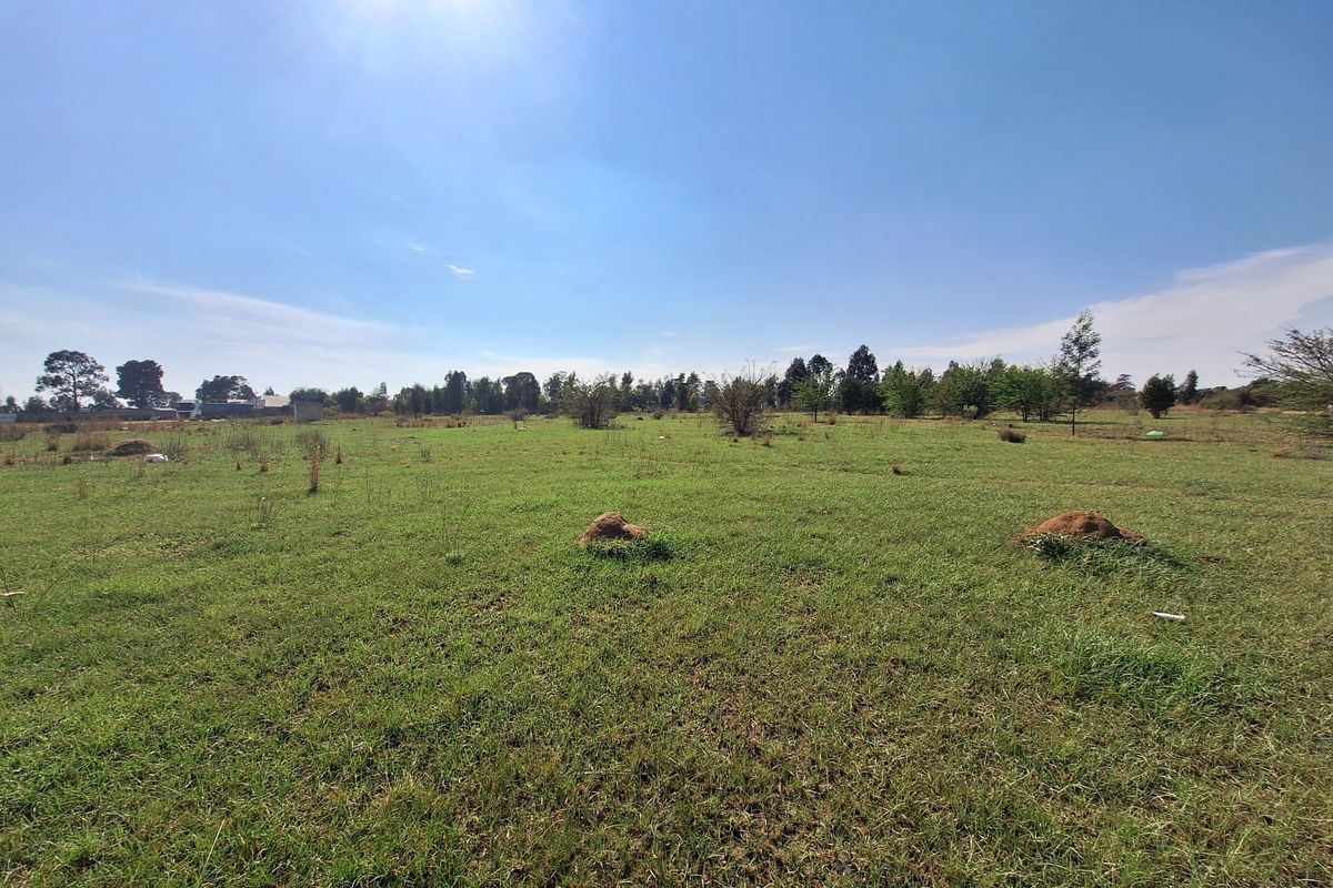 A wide-angle view of a vacant residential plot featuring open grassland and scattered mature trees under a clear blue sky.