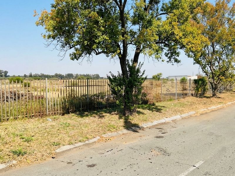 Street view of a vacant residential plot featuring mature trees and metal palisade perimeter fencing along an asphalt road.