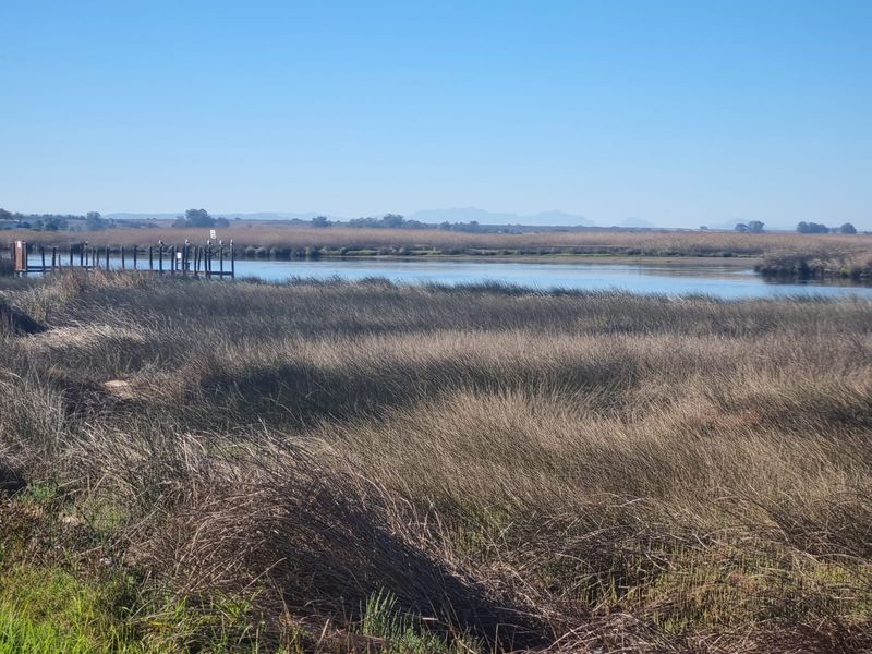 Prime Property for Sale in the Heart of Dwarskersbos – West Coast Gem! - Photo 7