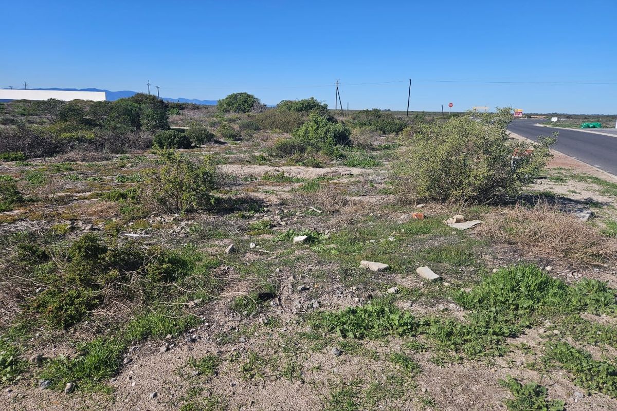 Prime Property for Sale in the Heart of Dwarskersbos – West Coast Gem! - Photo 4