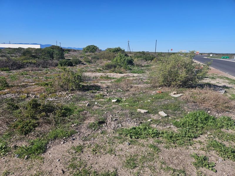 Prime Property for Sale in the Heart of Dwarskersbos – West Coast Gem! - Photo 4