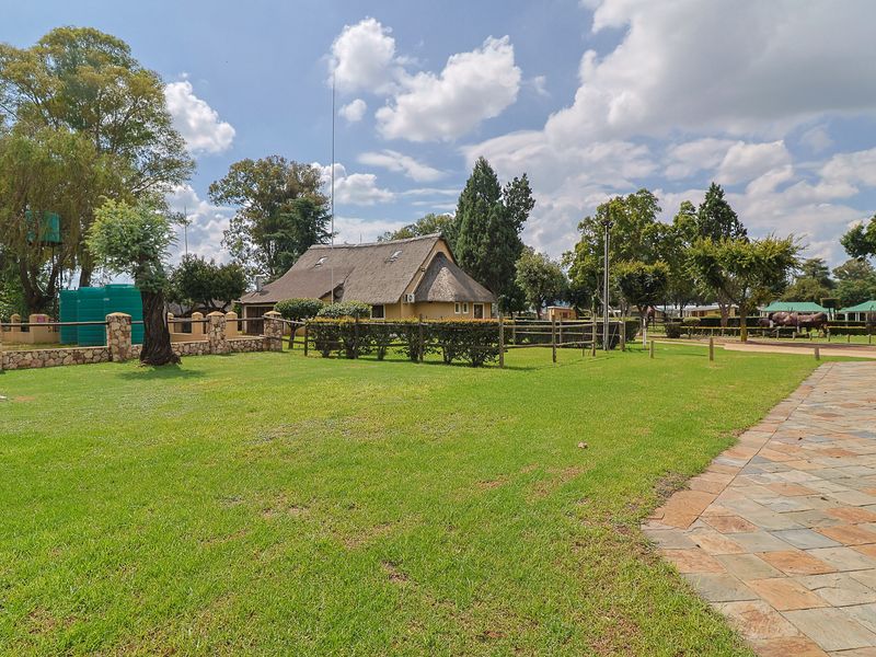 Multi-Venue Investment with 10+ Income Streams – Ready to Run! - Photo 5